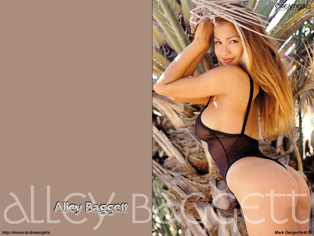 2_alleyb05big1024