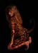ABW3_Comic_Alley_Baggett_001