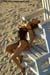 ABW_9806_Alley_Baggett_010