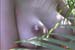 baba_cc_200008_BoL_01_Alley_Baggett