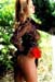 hibiscus08